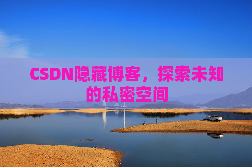 CSDN隐藏博客，探索未知的私密空间